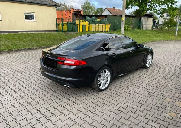 Jaguar XF cena 35900 przebieg: 220000, rok produkcji 2014 z Skawina małe 67